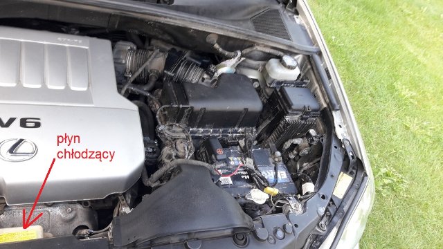 20250806_182112.jpg